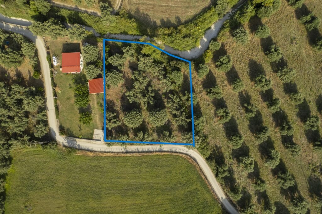 DJI_0025_